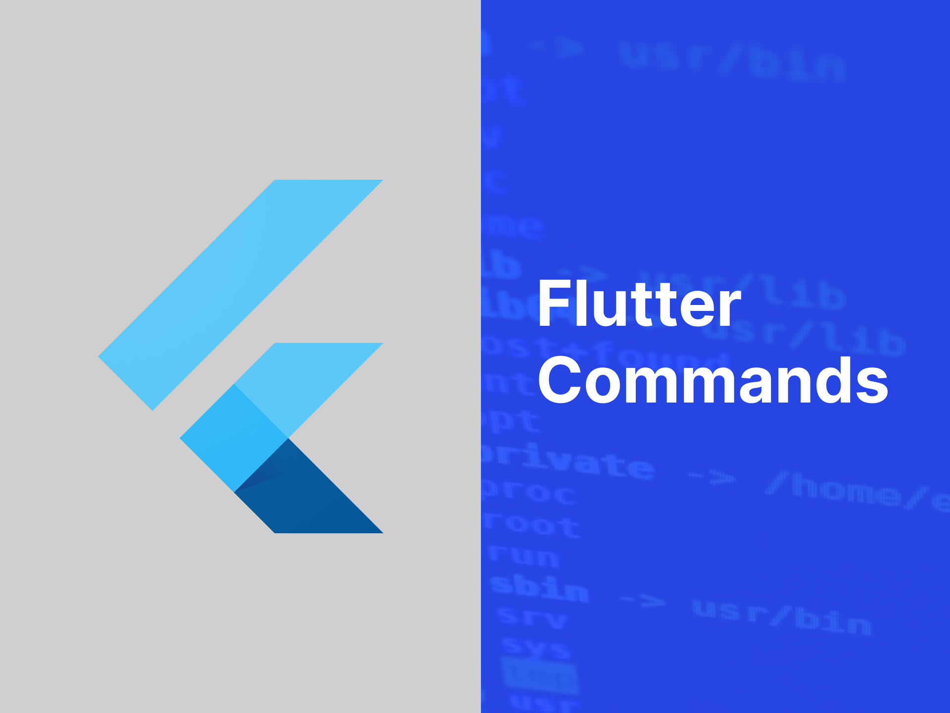 Set of frequently used flutter commands